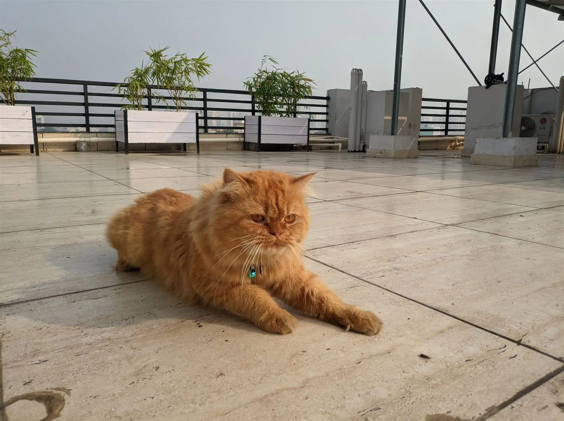 The rooftop terrace at Commune Quartex