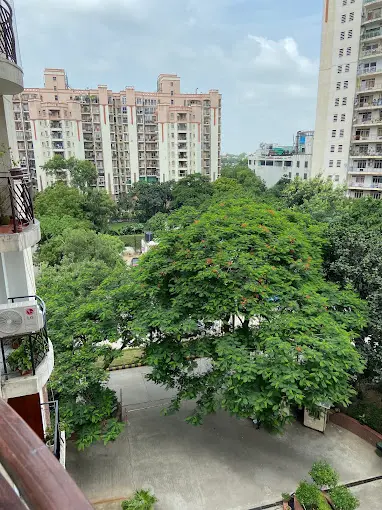 Treetops and neighbouring towers seen from a balcony at Essel Tower